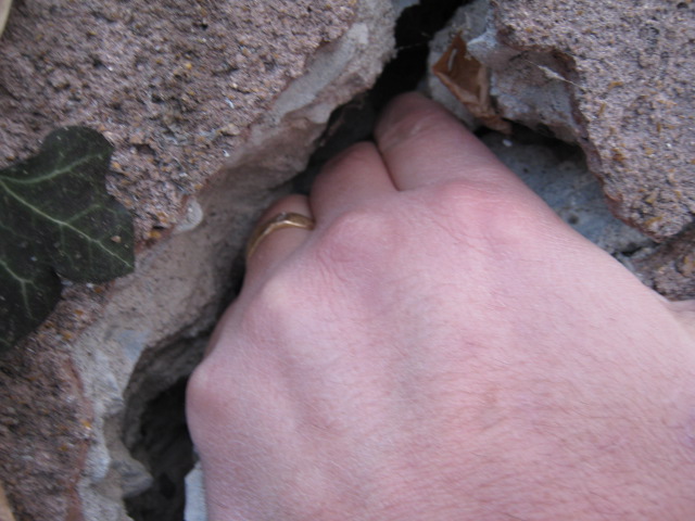 Foundation Cracks